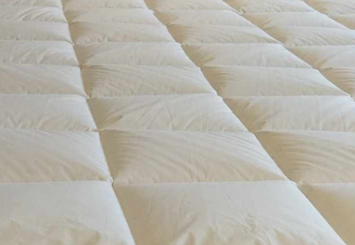 GLADIOLEN Goose down / comforters