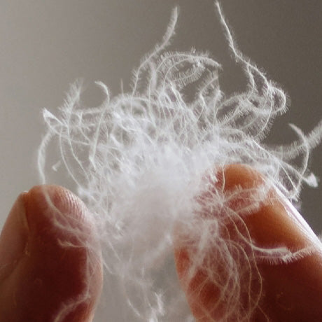 PIOEN – Weiße Gänsedaunendecke