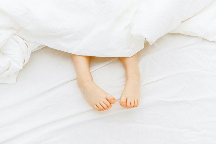 DANDELION - Ganzendonzen dekbed voor baby’s
