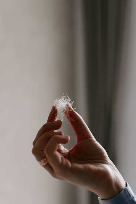 ANEMOON -  Weiße Gänsedaunen Kissen