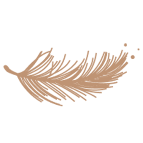 PIOEN - White goose down duvet